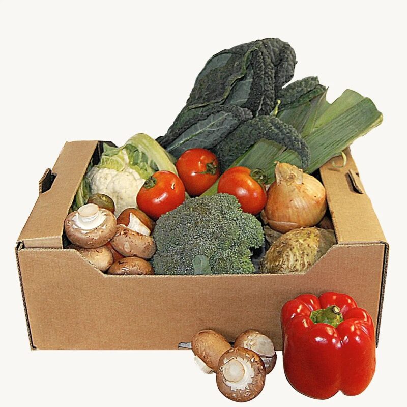 Fruit and vegetable carton box - Qingdao Shangfengde Industry and ...